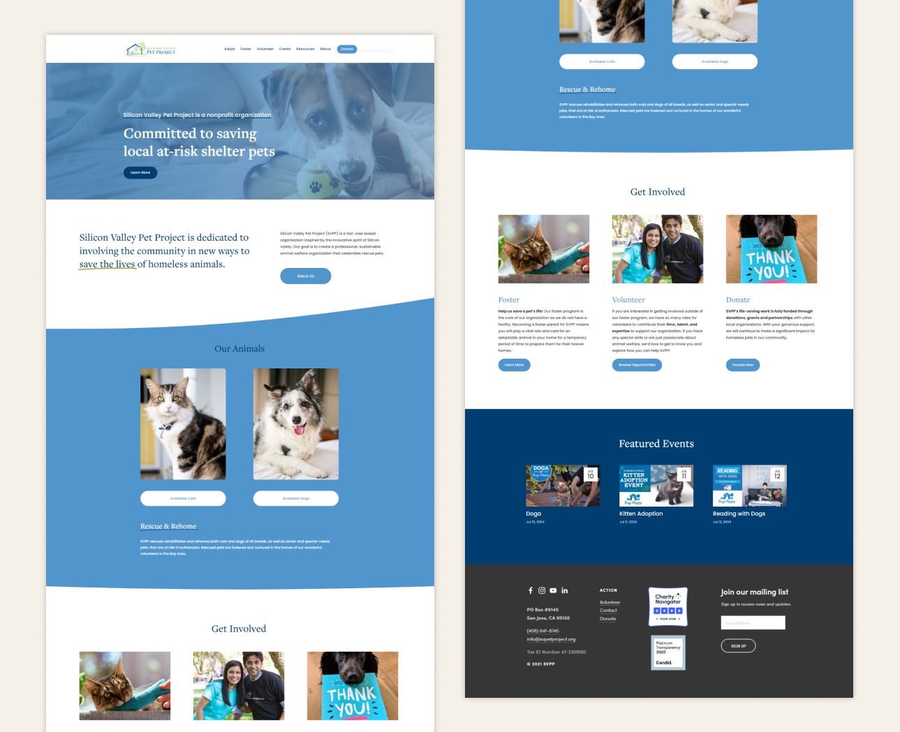 Website